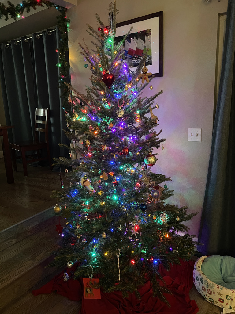 Christmas tree photo